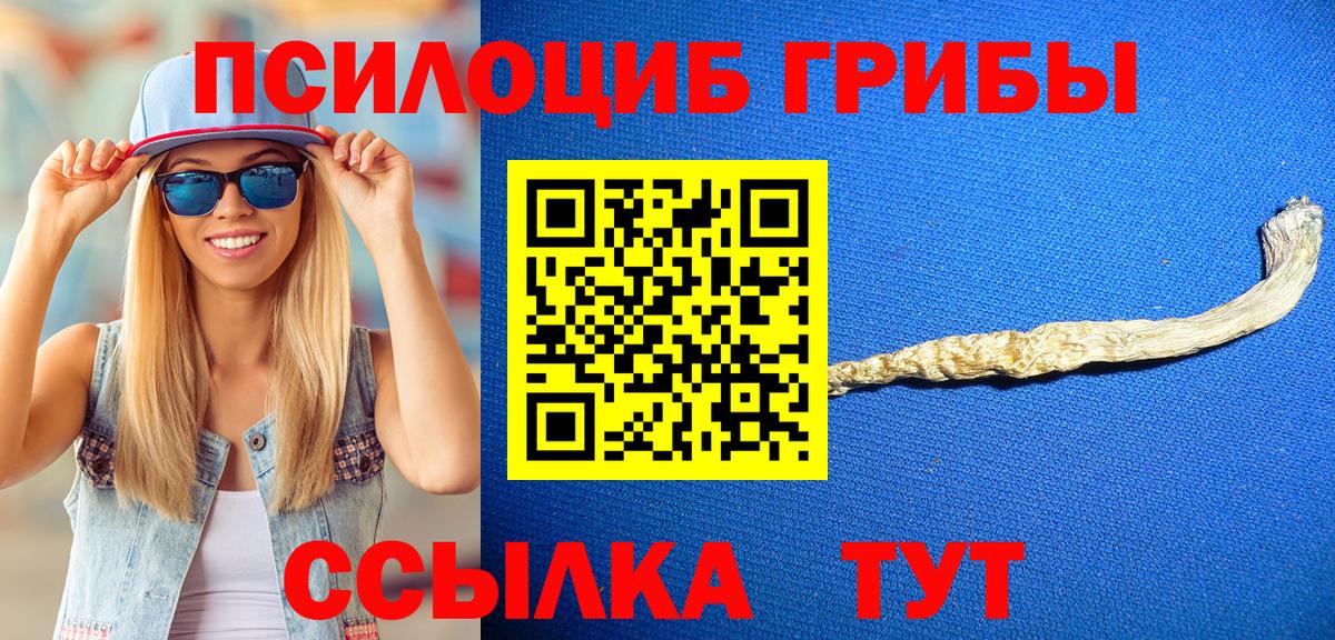 как найти закладки  Вход с VPN  Вятские Поляны  Псилоцибиновые грибы ЛСД  Галлюциногенные грибы прущие грибы 
