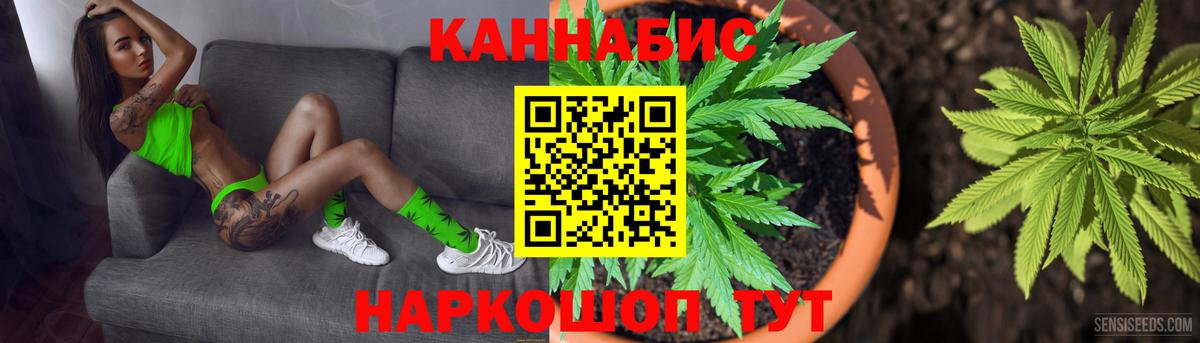 Конопля марихуана  Каннабис план  Канабис индика  Вход с VPN  Вятские Поляны  Бошки марихуана AK-47 